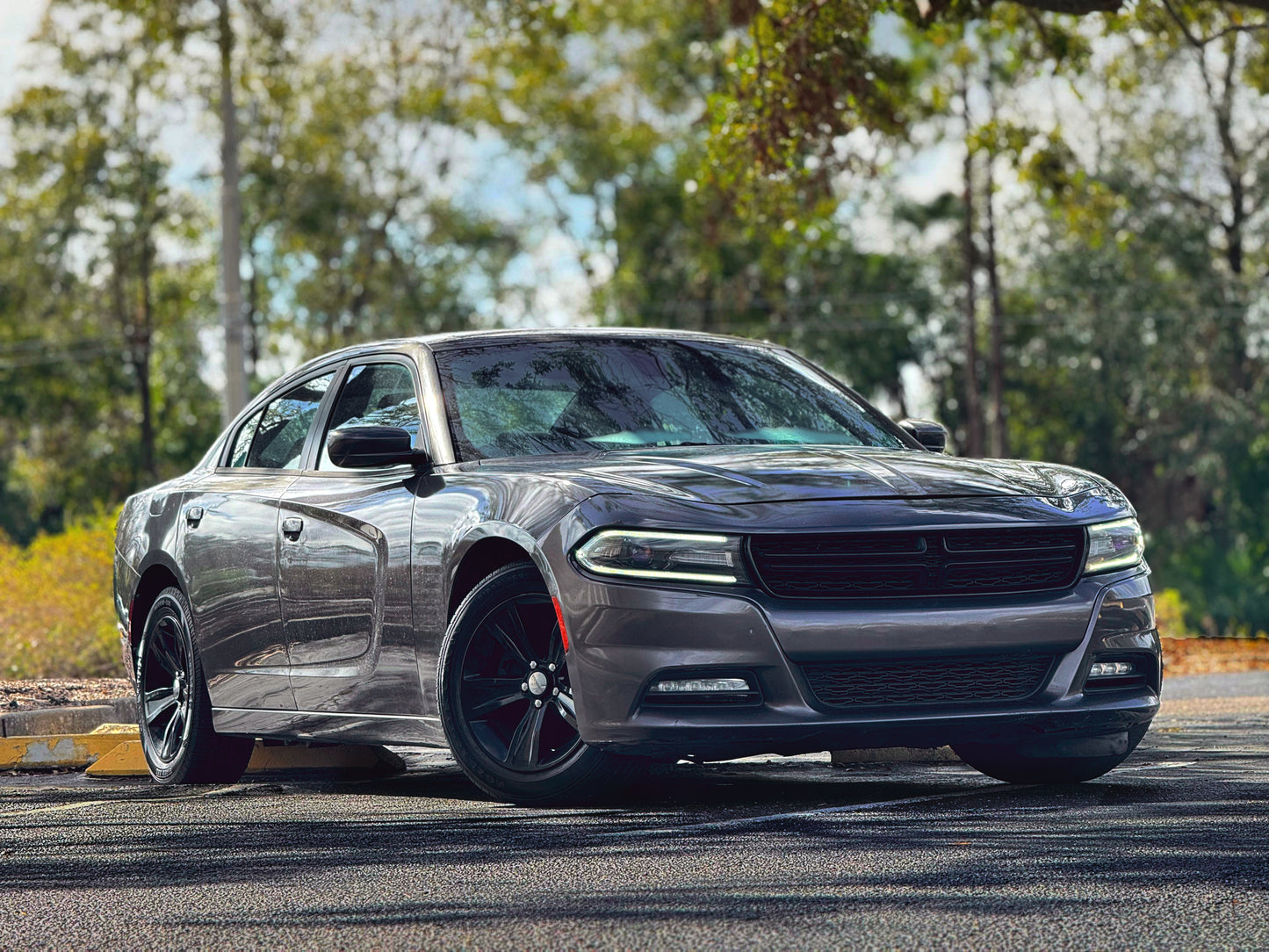 2017 DODGE CHARGER SXT